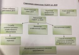 Структура управления ГБДОУ детский сад № 50 Калининского района Санкт-Петербурга